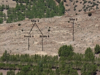 0_adazen_1_2.jpg
