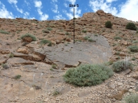 11_adazen_5.jpg