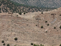 9_adazen_4_5_6.jpg