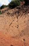 aguerdzougaren13.jpg