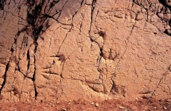 aguerdzougaren14.jpg