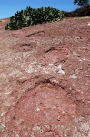 ait-mimoun-0285.jpg