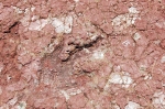 ait-mimoun-0294.jpg