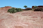 ait-mimoun-0298.jpg