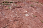 ait-mimoun-0308.jpg