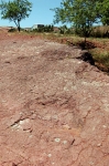 ait-mimoun-0312.jpg