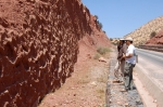 argana-0212.jpg
