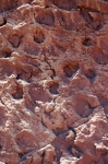 argana-0217.jpg