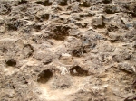 boukamouche02.jpg