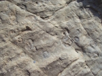 boukamouche05.jpg