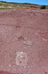 iouaridene-0269.jpg