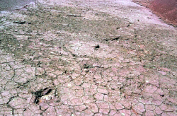 iroutlane04.jpg