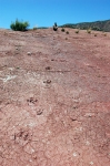 jebel-bruna-0315.jpg