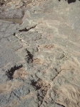 taghzouta05.jpg