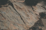 1d_dsc_0260.jpg 1d_dsc_0260.jpg