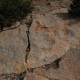 1c. Dsc 0259