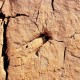 Aguerdzougaren16