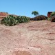 Ait-mimoun-0298