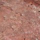 Ait-mimoun-0305