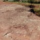 Ait-mimoun-0312