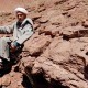 Alma-0229
