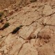 Dsc 0129