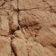 Dsc 0130