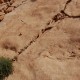 Dsc 0136