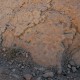 Dsc 0209
