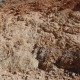 Dsc 0214