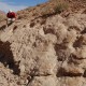 Dsc 0217