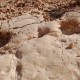 Dsc 0218