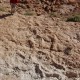 Dsc 0225