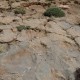P1180233
