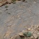 P1180492