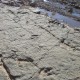 Taghzouta07