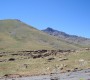 Igountar 1