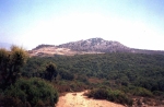 1._ph_bertone_peinture_rif_vue_du_site_copy.jpg