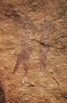 asleg-8.jpg