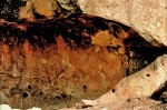 db.-toulkine-1.jpg