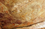 el-farsia-2.jpg