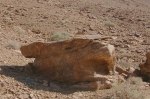 oued-guelb-1.jpg