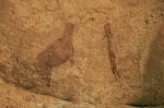 oued-leh-s5-6.jpg