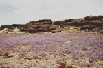 rb-achguig-0.jpg