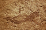 rb-achguig-6.jpg