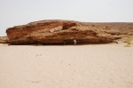 Oued Dmeri Labyad t3-el-farsia-1.jpg