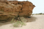 t3-el-farsia-2.jpg