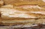 t3-el-farsia-6.jpg