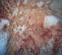 4. Ph Bertone Peinture Rif 