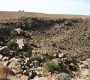 Oued-amhite-1